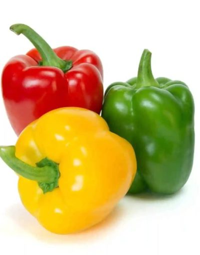 Capsicum-pepper-600x600