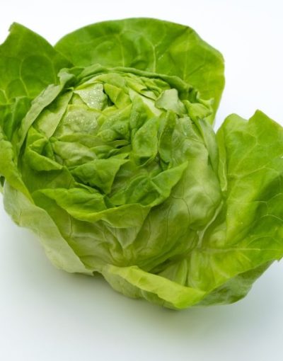 Lettuce-600x600