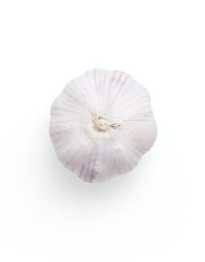 garlic-600x600